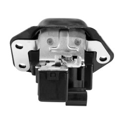 CHAPA DE PUERTA RENAULT KOLEOS /TRASERA