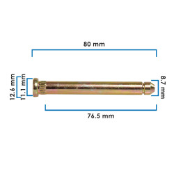Pernos VARIOS FORD SA21446